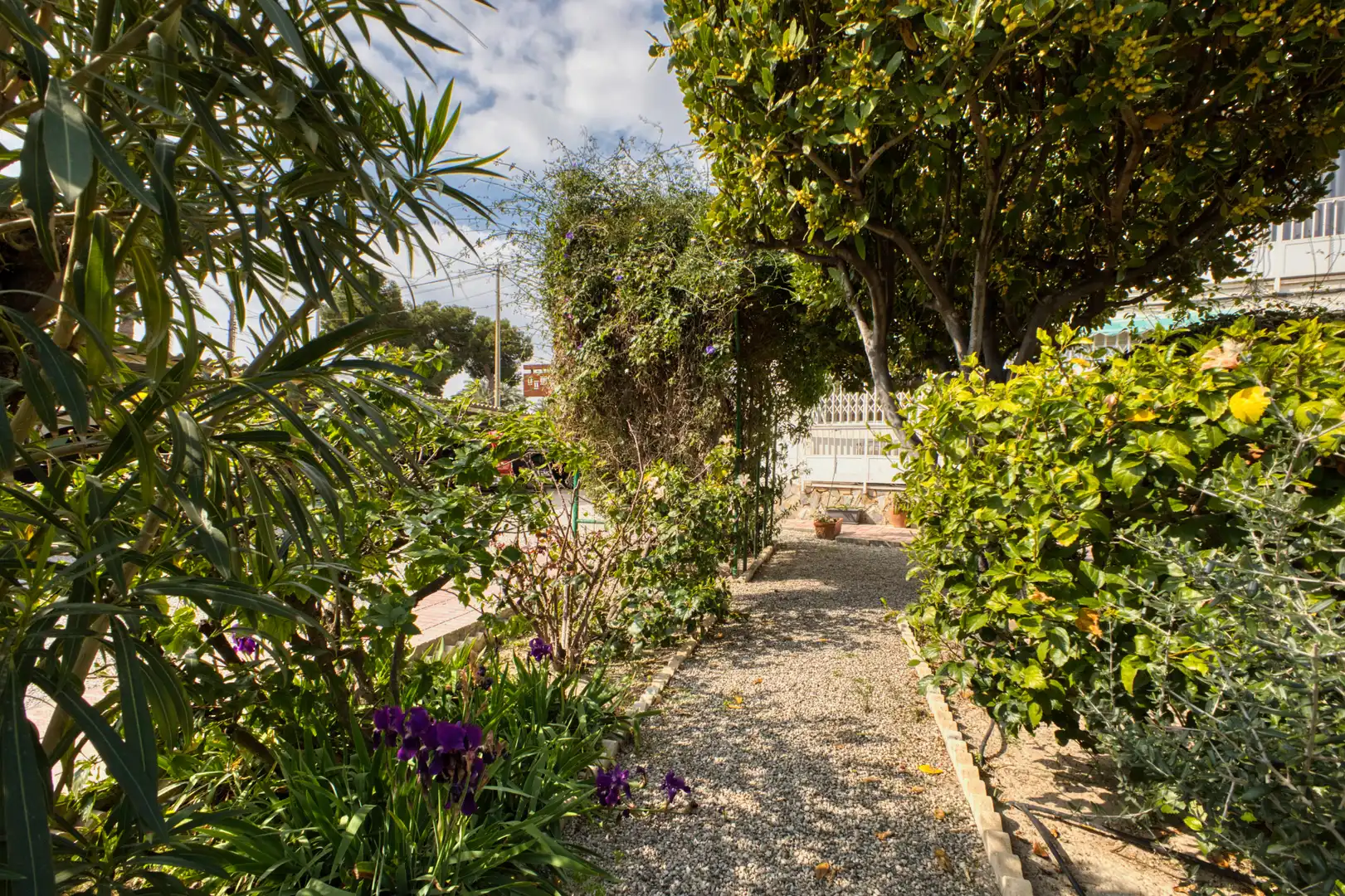 Garden of Flat for rent in El Campello  with Air Conditioner, Heating and Private garden