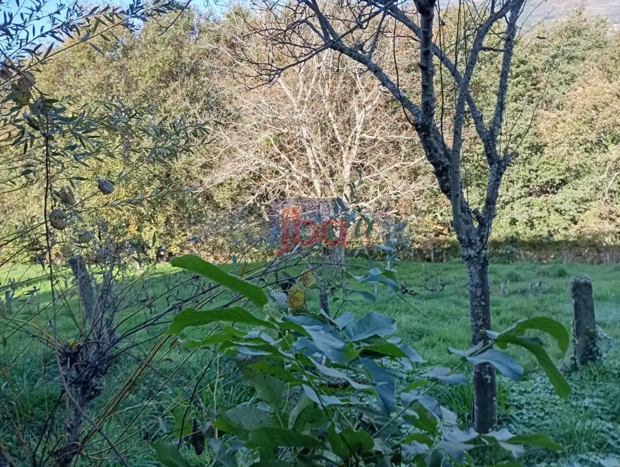 Haus oder Chalet zum Verkauf in Lobeira mit Privatgarten