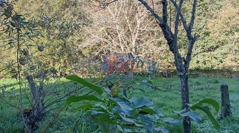 Foto 4 de Casa o xalet en venda a Lobeira, Ourense