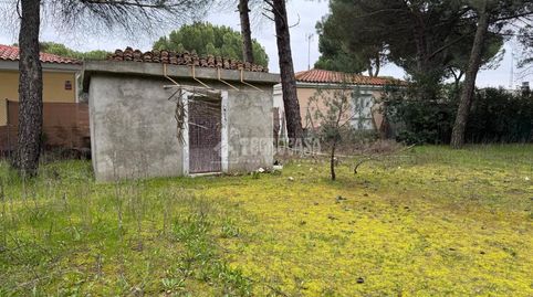 Photo 4 of Land for sale in Traspinedo, Valladolid