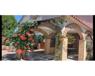 Jardí de Local de lloguer en Cáceres Capital