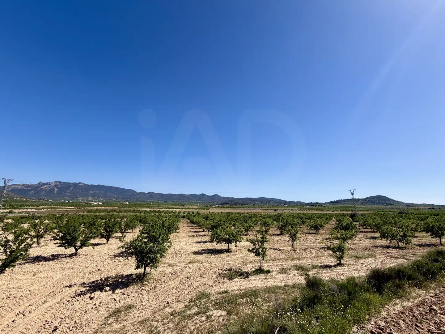Grundstücke und Bauplätze zum Verkauf in Ricote, imagen 5