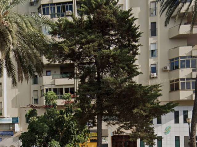 Local comercial en Venta en Avenida de Andalucía, 31 en Carranque - Haza Cuevas