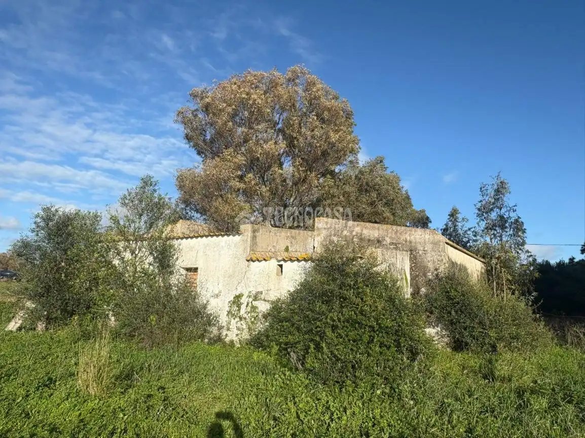 Terrain rustique à vendre à Vejer, imagen 19