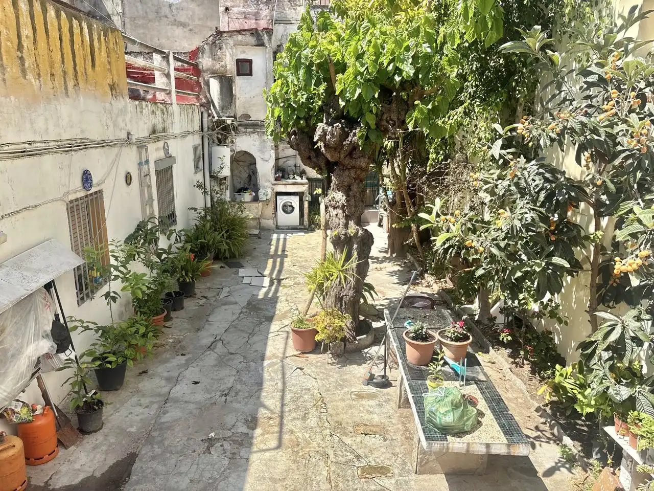 Villa avec terrasse à vendre à Centre, imagen 4