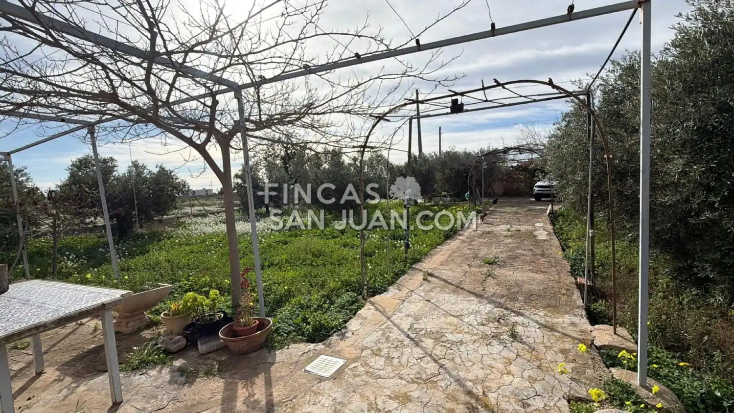 Finca rústica en venta en Centro
