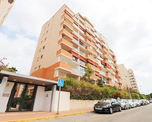 Exterior view of Planta baja to rent in Guardamar del Segura  with Terrace, Swimming Pool and Furnished