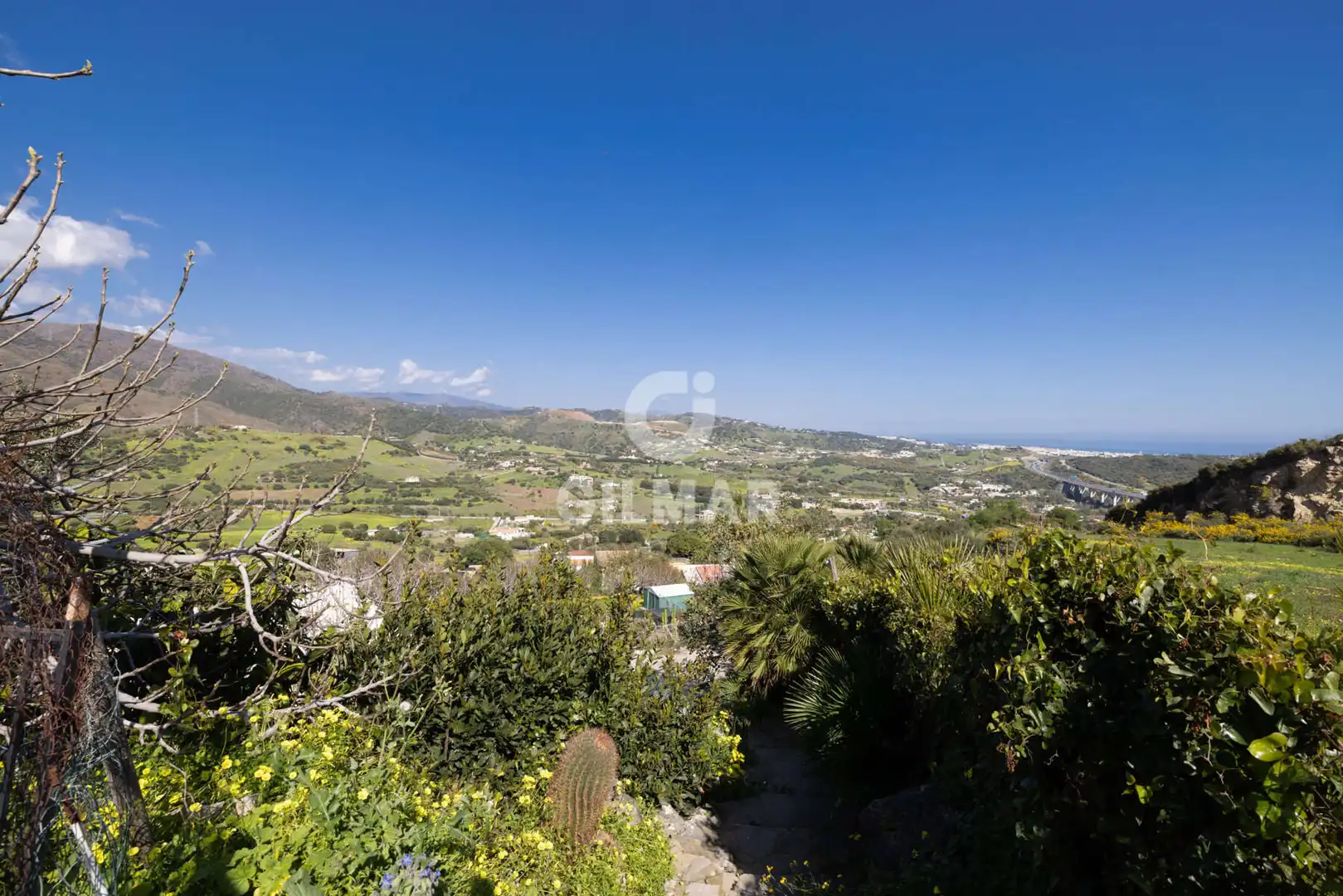 Vista exterior de Casa o chalet en venta en Estepona con Jardín privado y Piscina