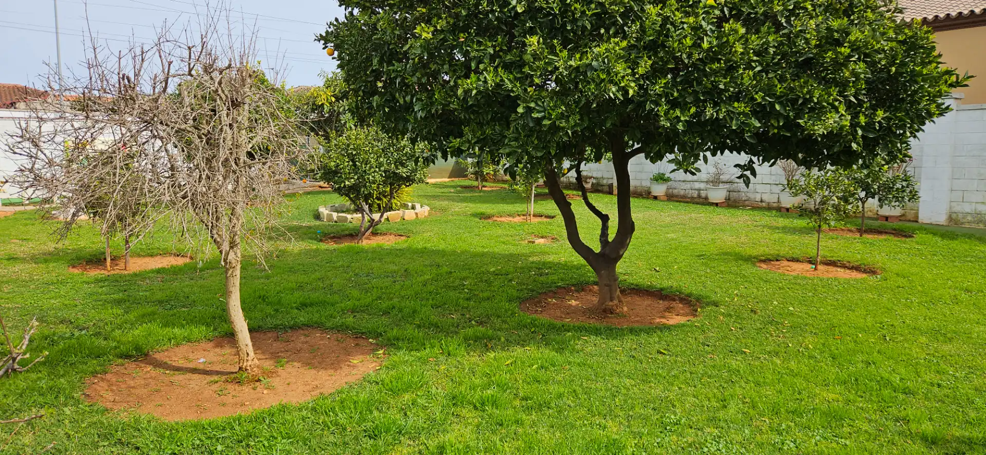 Jardí de Casa o xalet en venda en Chiclana de la Frontera amb Aire condicionat, Calefacció i Jardí privat