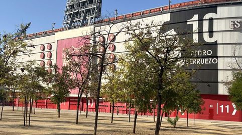 Foto 5 von Geschaftsraum zum Verkauf in La Buhaira, Sevilla Capital