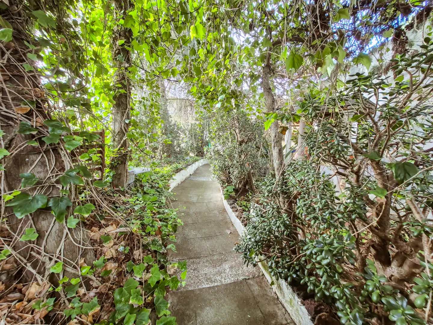 Vista exterior de Finca rústica en venta en Las Palmas de Gran Canaria con Jardín privado, Terraza y Trastero