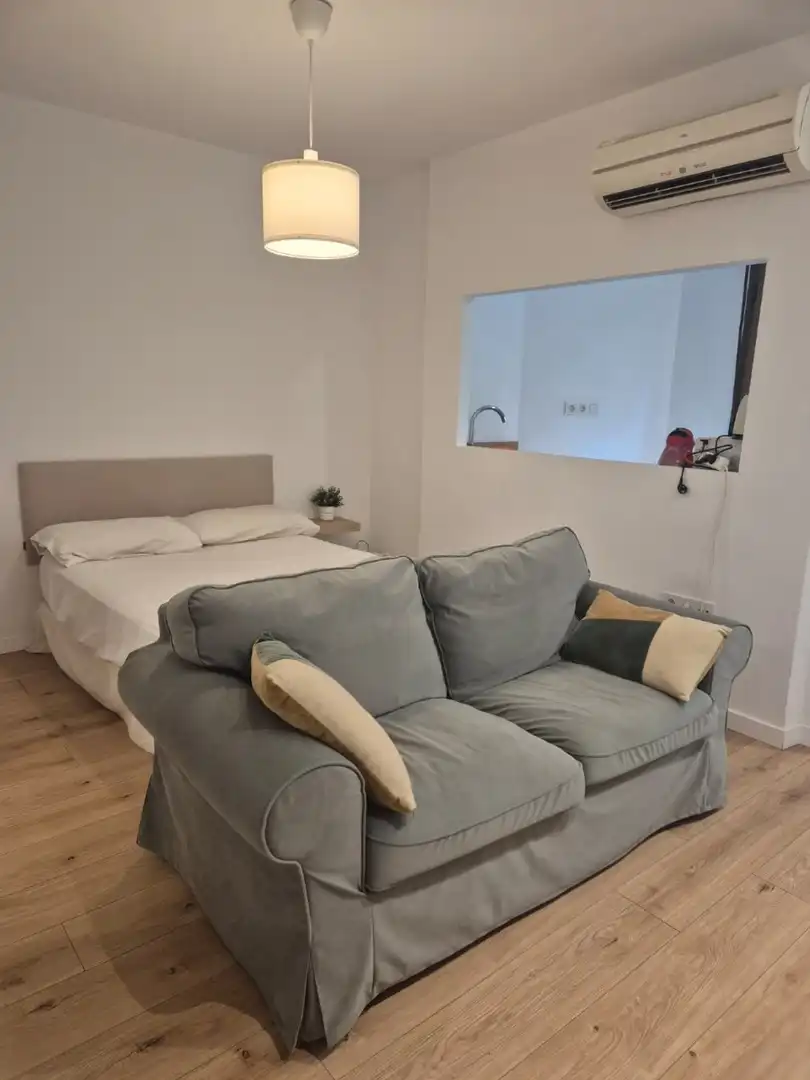Sala d'estar de Estudi en venda en Alicante / Alacant amb Calefacció i Moblat
