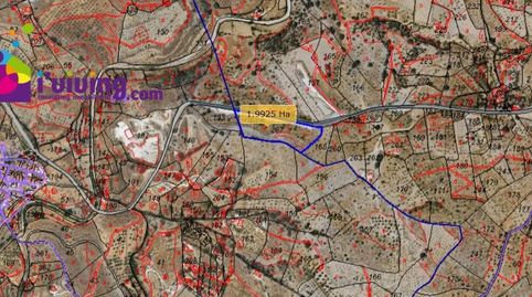 Terreno rustico en barrio las viñas. alcudia de monteagud 267 Alcudia de Monteagud, immagine 2