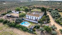 Jardí de Finca rústica en venda en Alcalá de Guadaira amb Terrassa, Piscina i Balcó