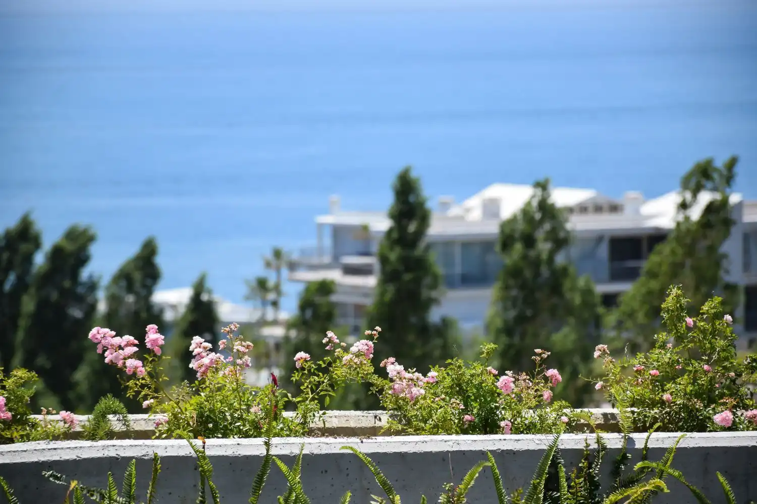 Apartment with pool for sale in El Higuerón, imagen 30