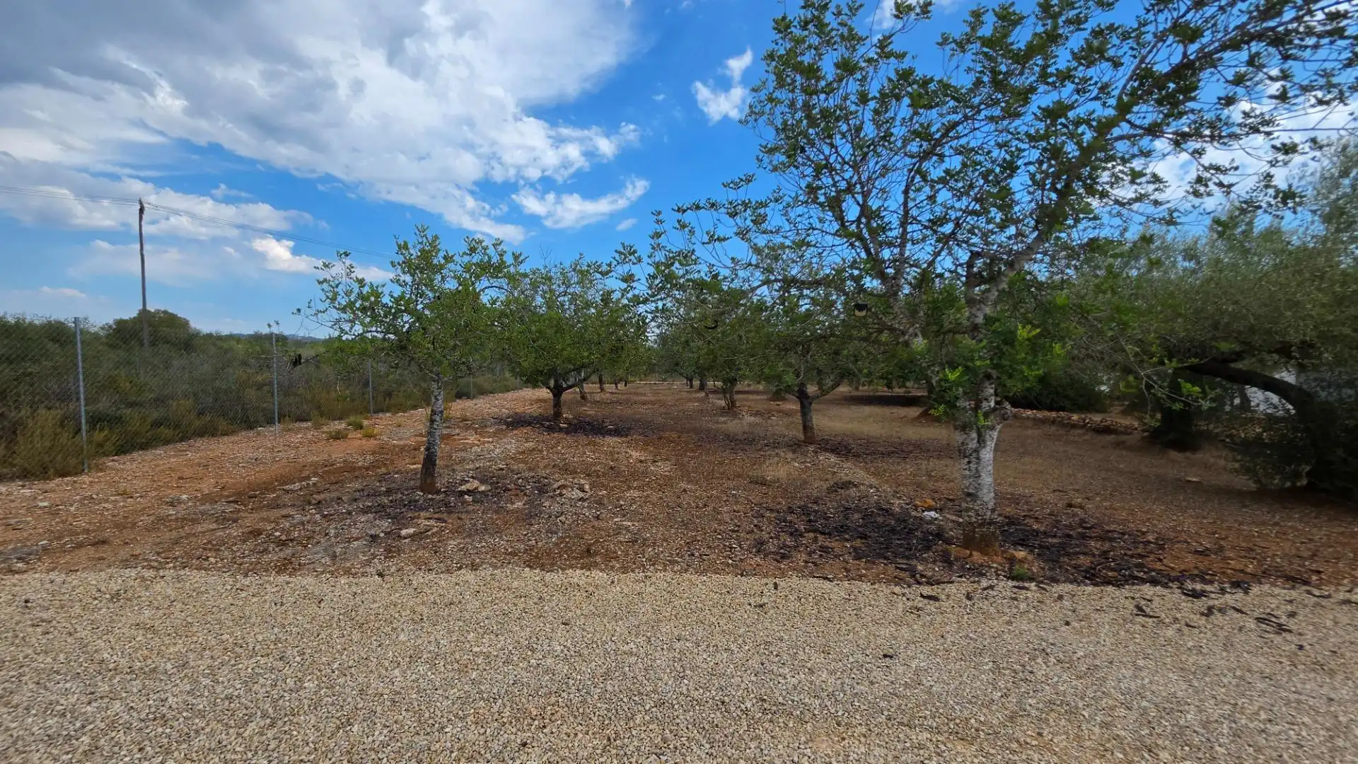 Maison rustique avec piscine à vendre à El Perelló, imagen 64