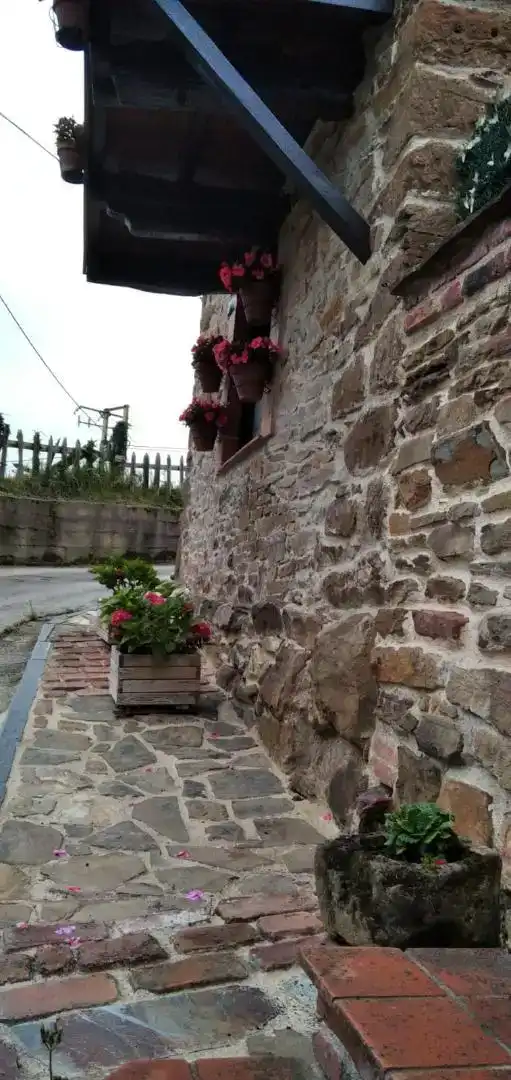 Vista exterior de Finca rústica en venda en Mieres (Asturias) amb Balcó