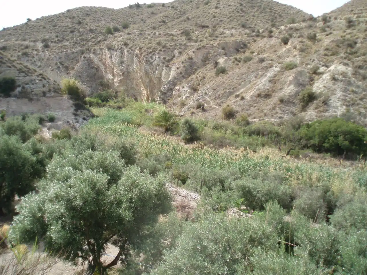 Terreni e lotti in vendita a MONEGRE