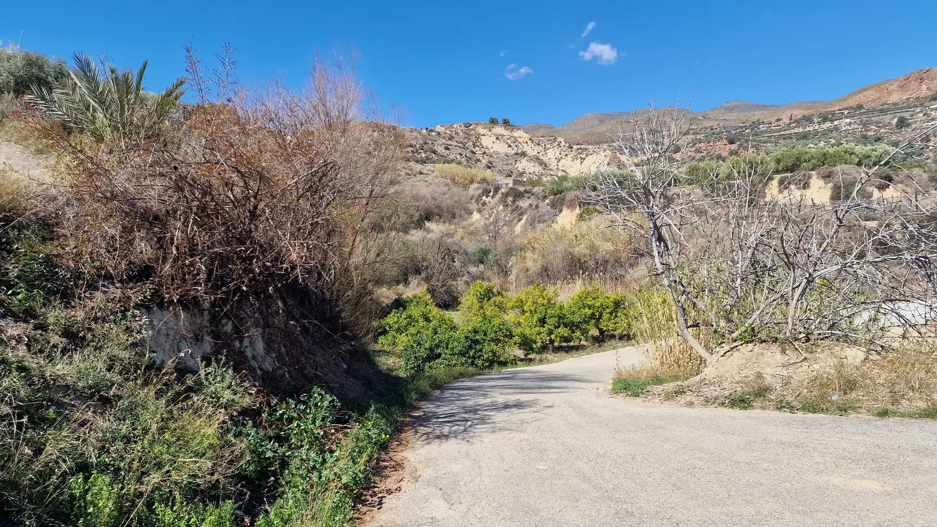 Vista exterior de Finca rústica en venda en Canjáyar amb Jardí privat, Terrassa i Traster