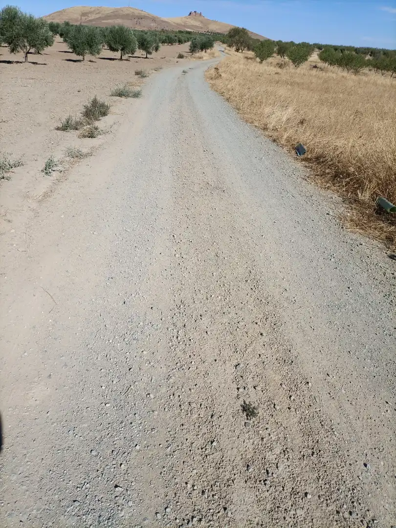 Rural land for sale in Almonacid de Toledo, imagen 6