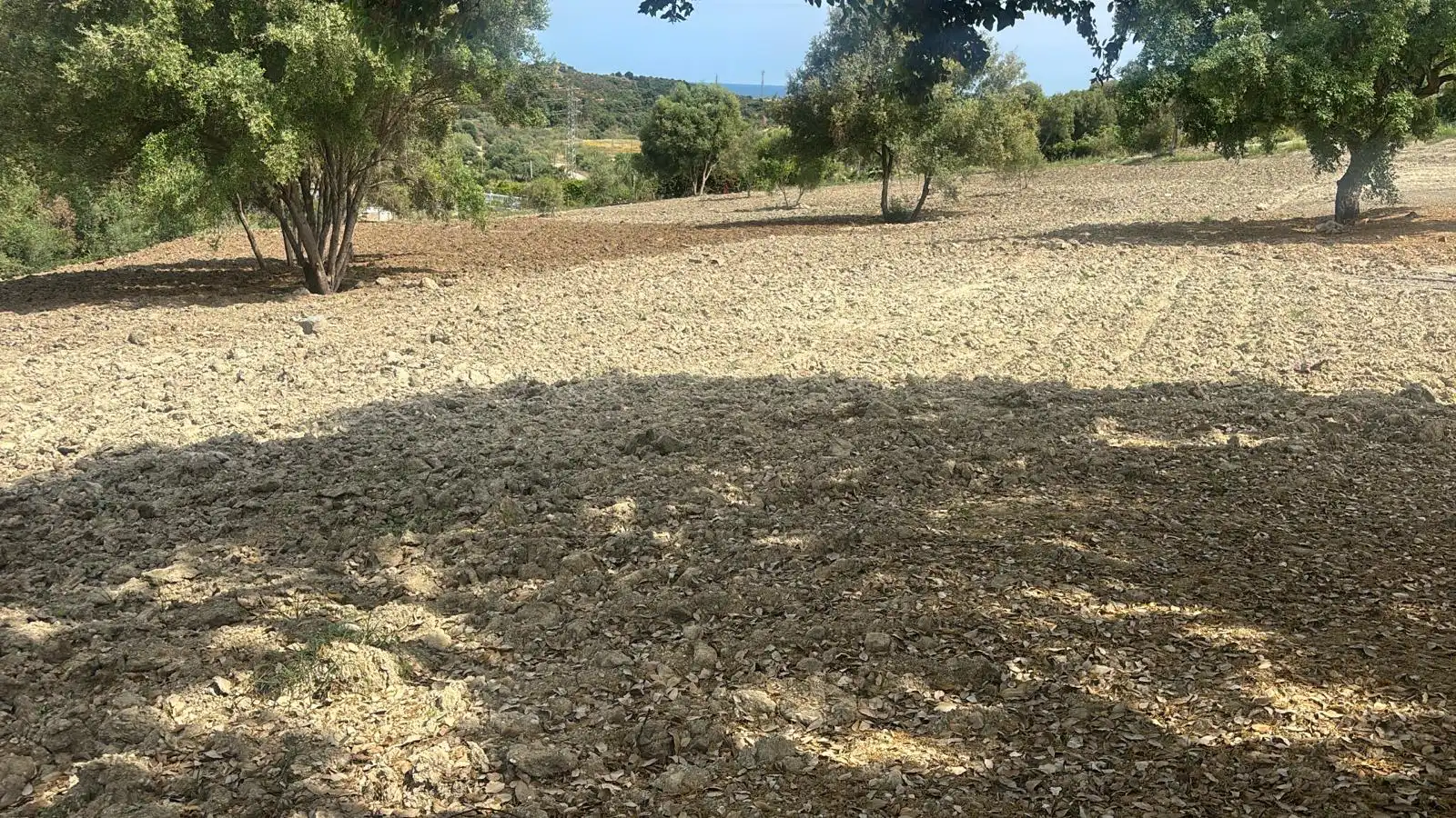 Rural land for sale in Camino Nicola, imagen 2