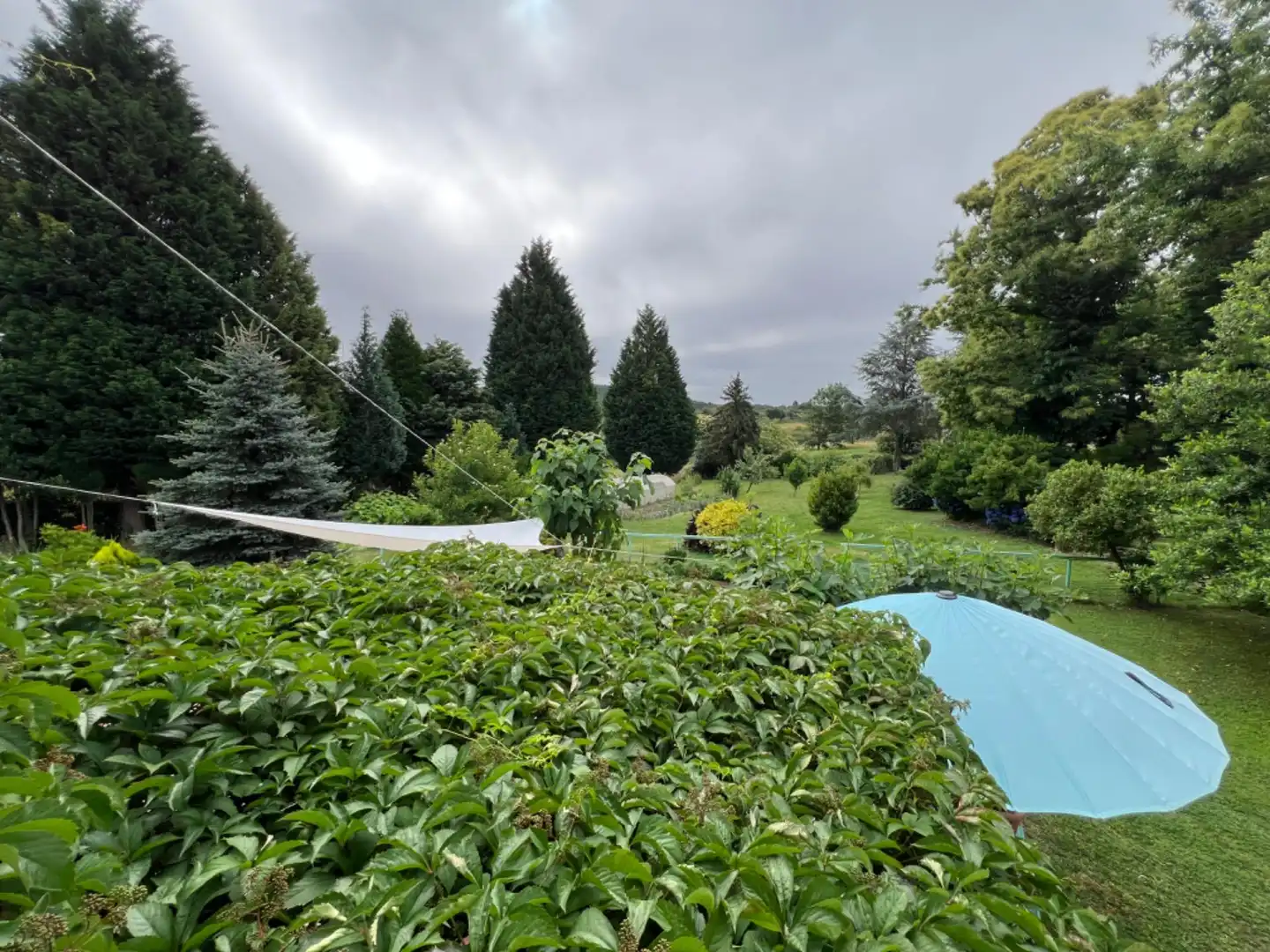 Jardí de Casa o xalet en venda en Celanova amb Calefacció, Jardí privat i Terrassa