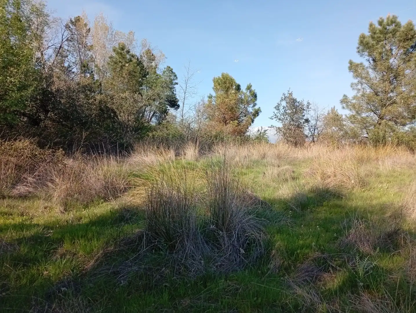 Terreni e lotti in vendita a Villanueva de la Vera, imagen 42