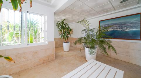 Foto 5 de Estudi de lloguer a Campoamor, Orihuela