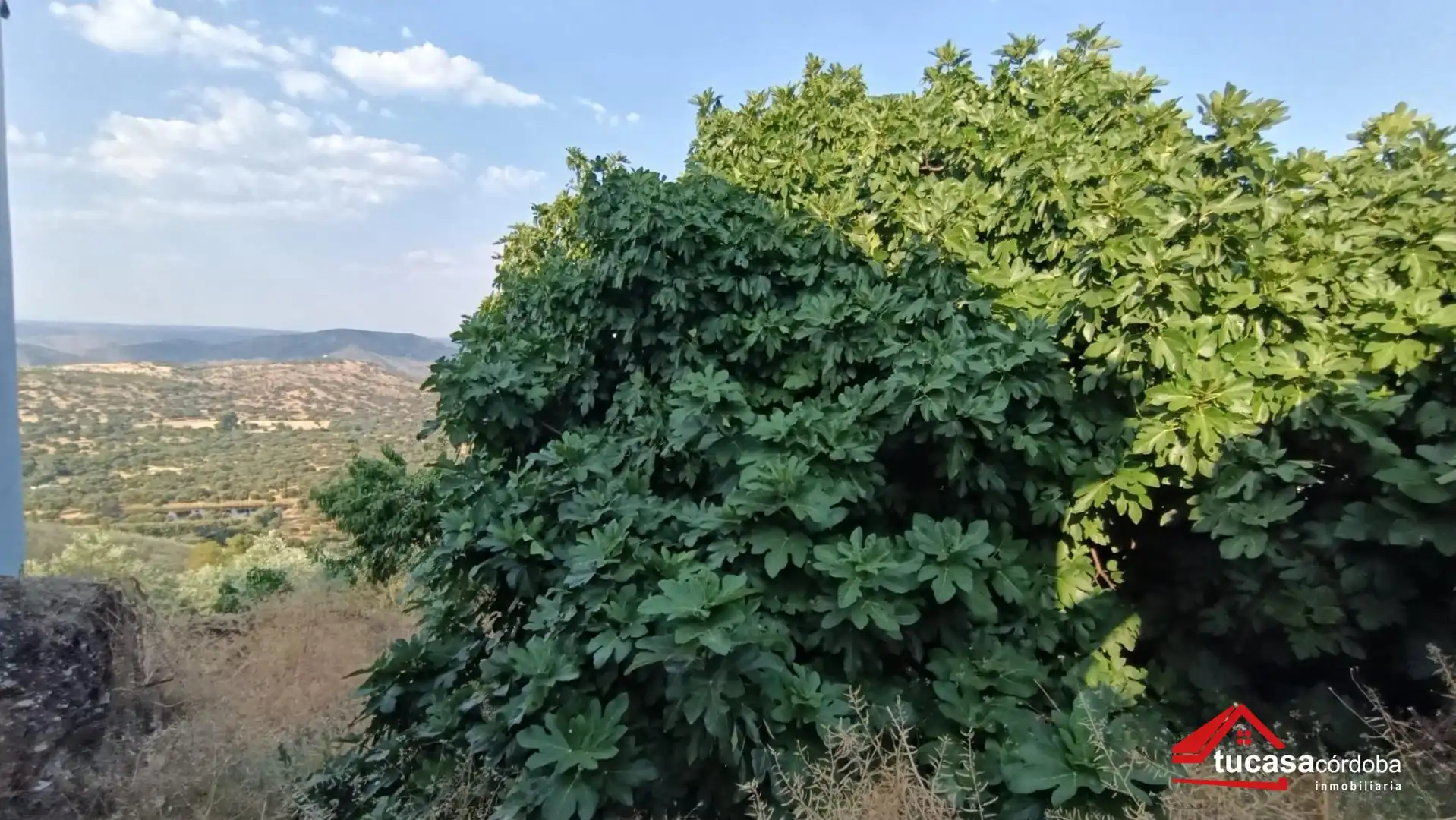Casa o xalet en venda a Obejo