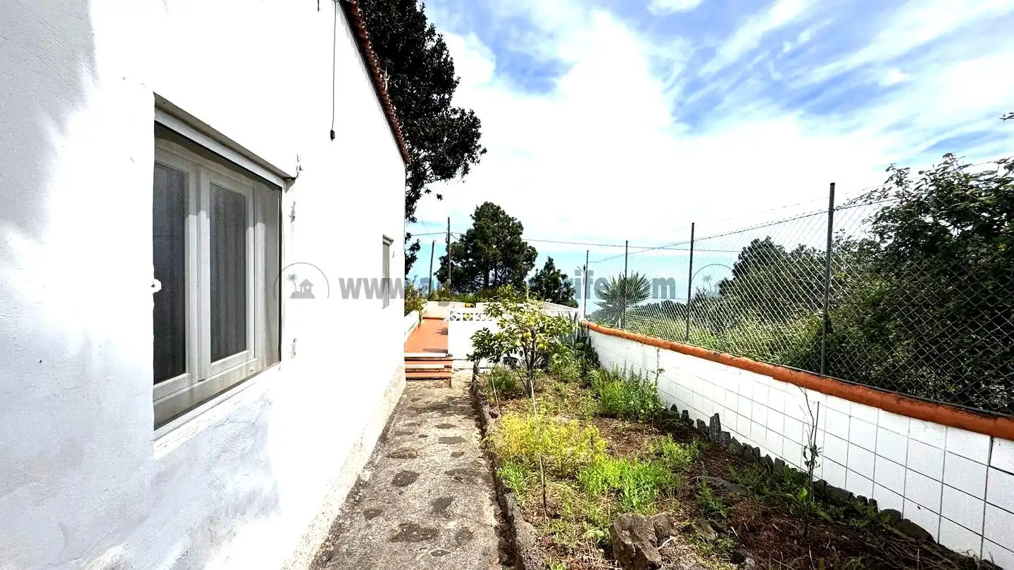 Jardín de Finca rústica en venta en Icod de los Vinos con Piscina
