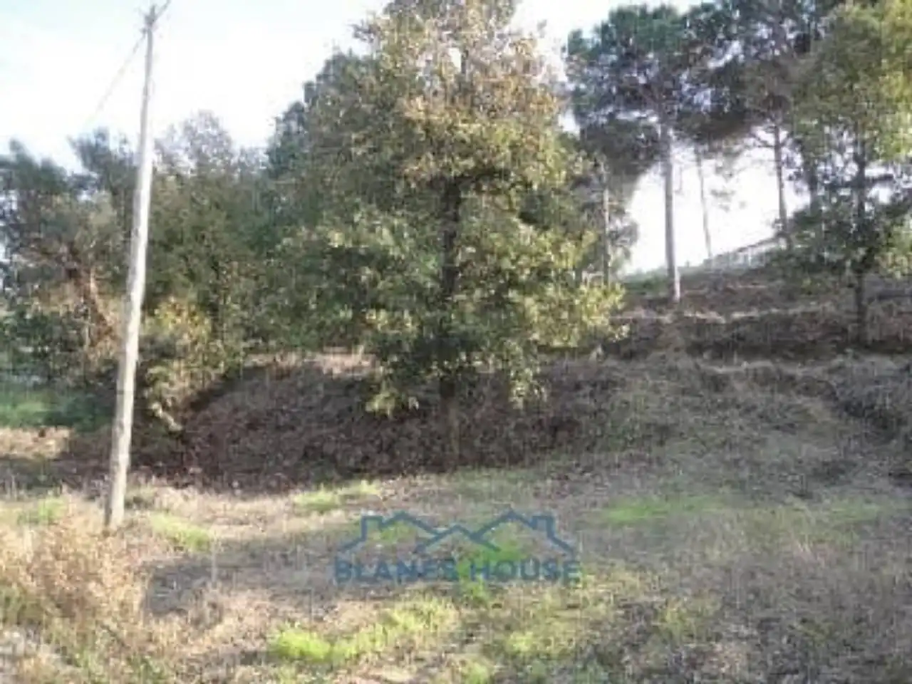 Residential land for sale in Calle Collsacabra 36, imagen 6