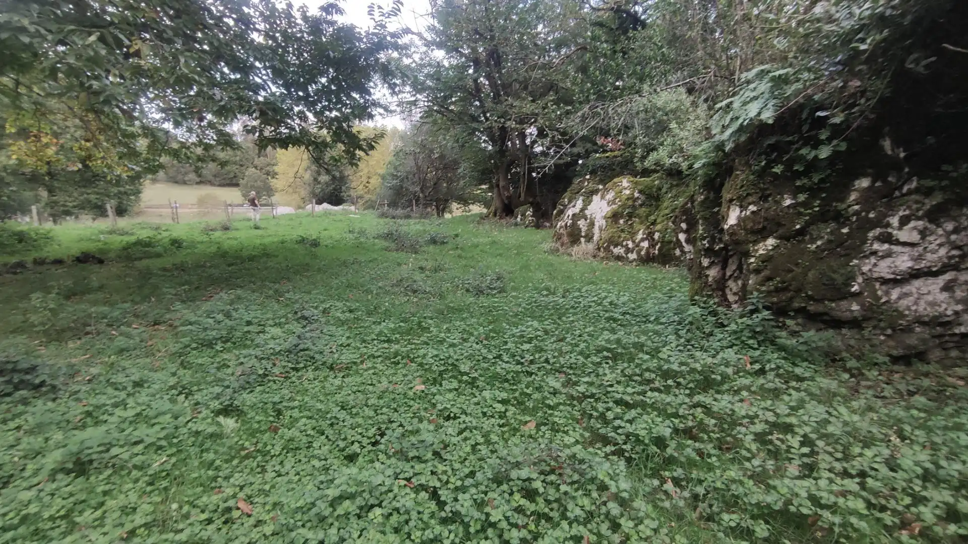 Terreni e lotti in vendita a Reocín, imagen 7