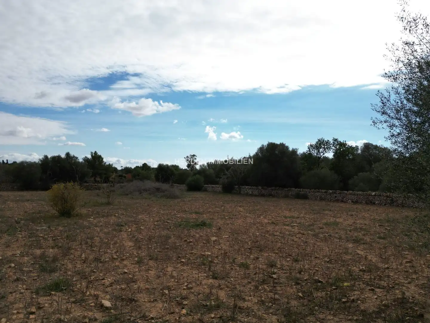 Grundstücke und Bauplätze zum Verkauf in Llucmajor pueblo, imagen 8