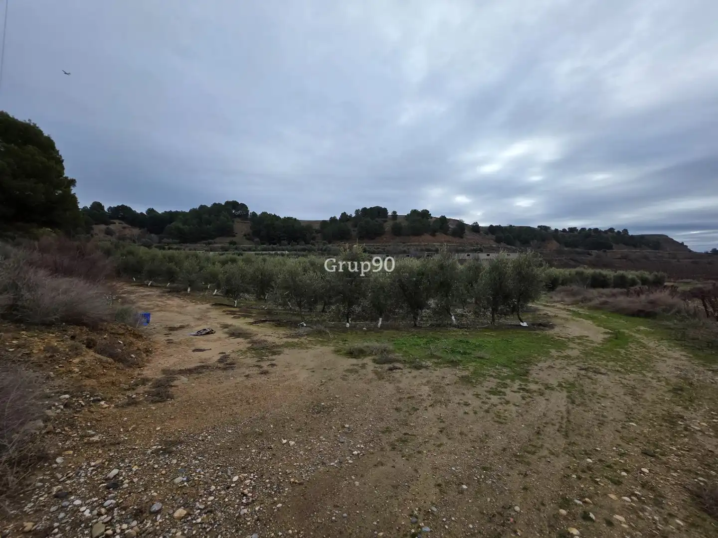 Terreno rustico in vendita a Alpicat, imagen 2
