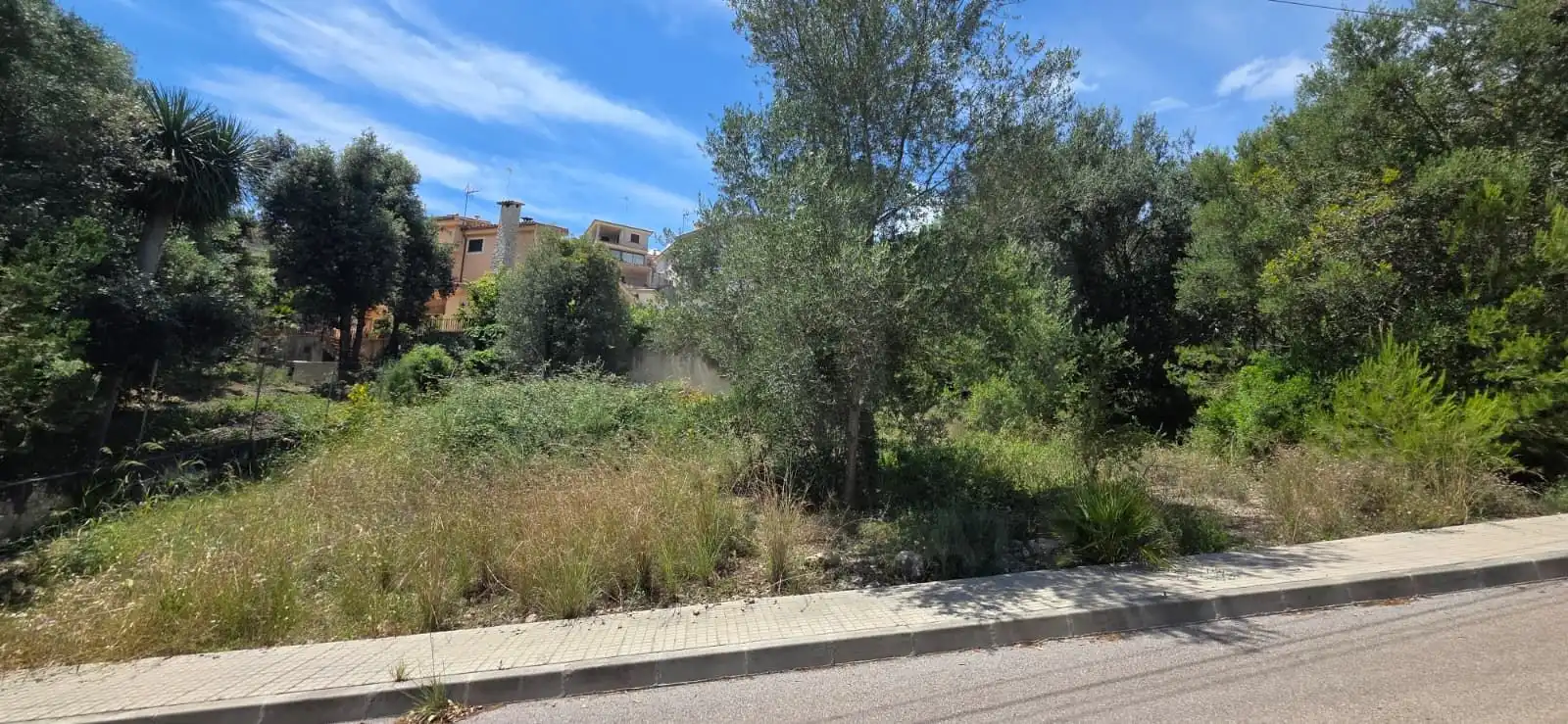 Terreny residencial en venda a Carrer de Son Puça 75