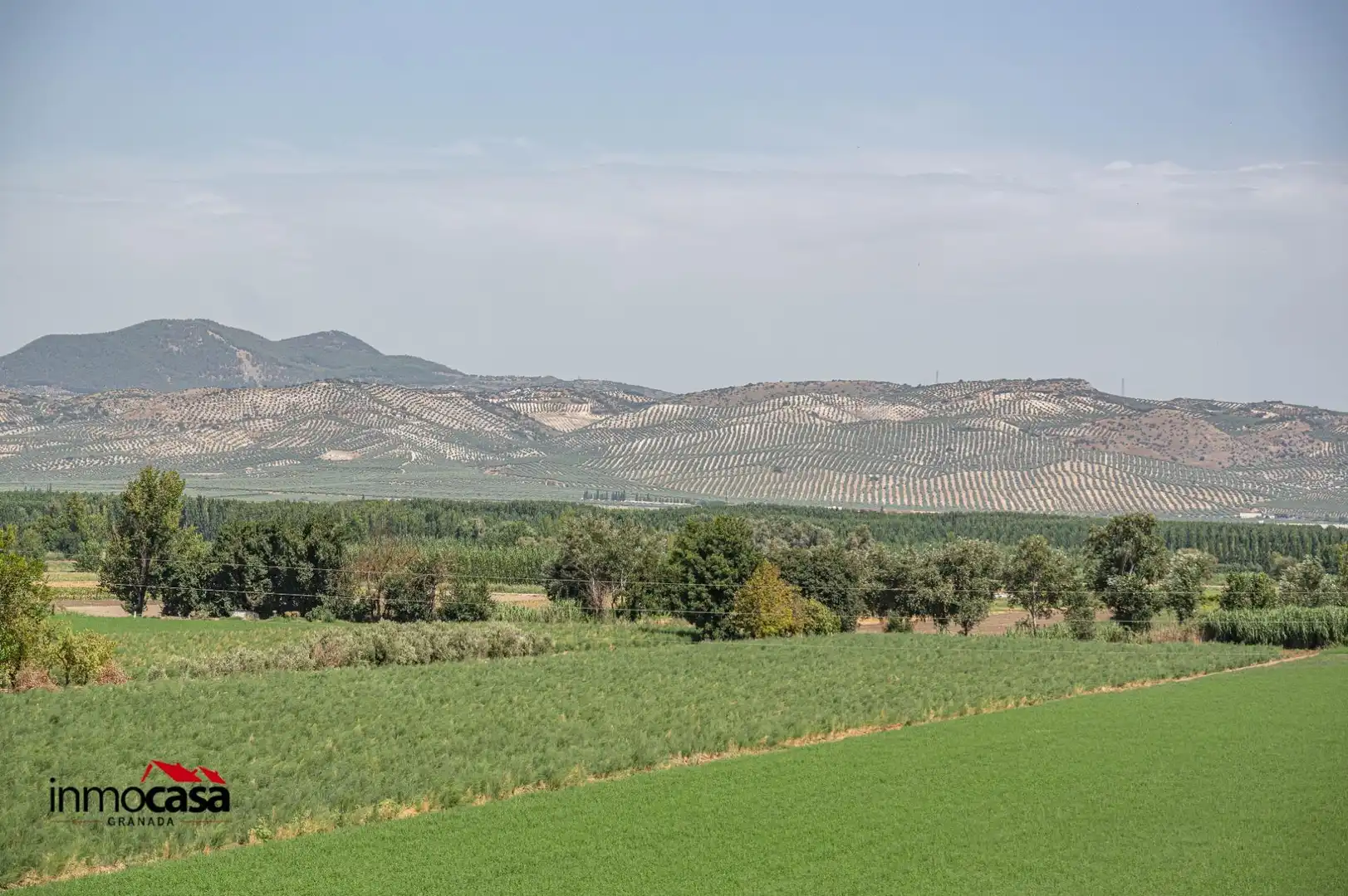 Flat for sale in Cijuela