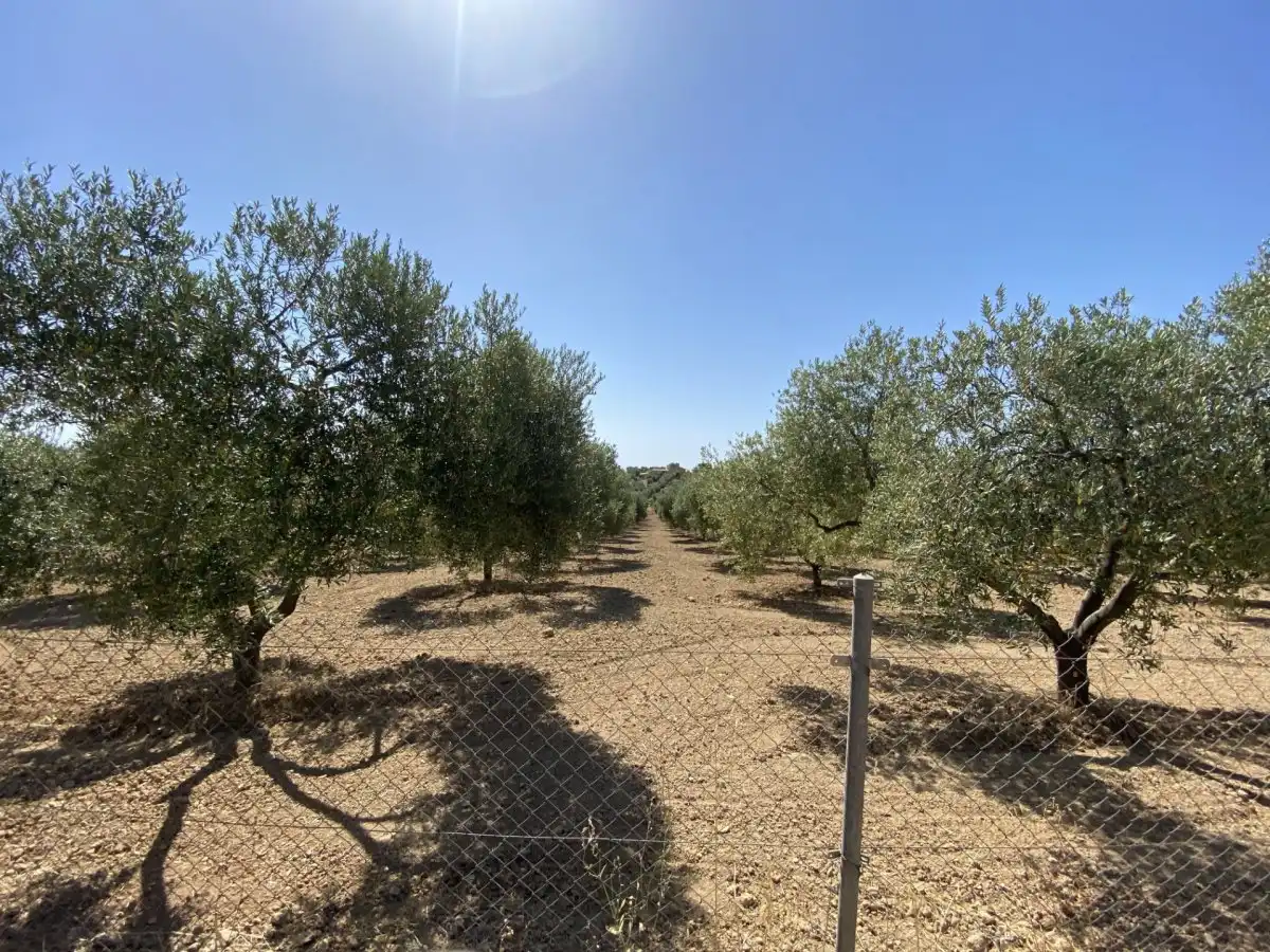 Casa rústica en venta en Gibraleón, imagen 7