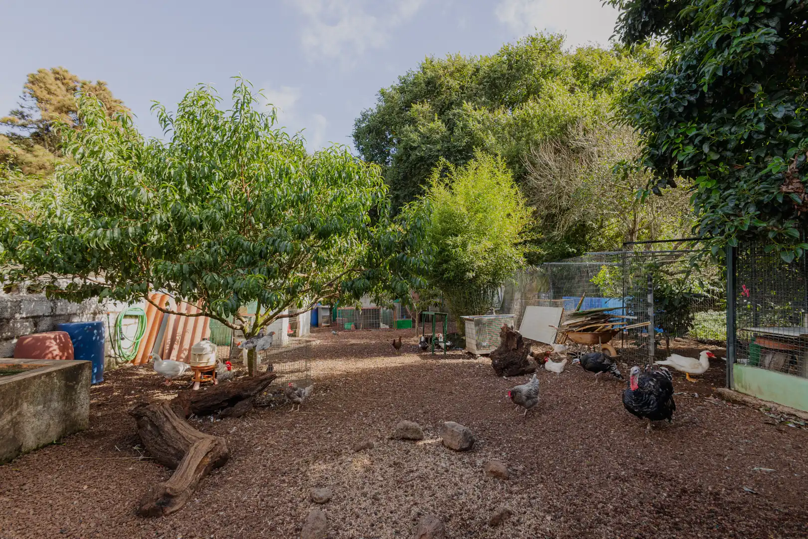Jardí de Casa o xalet en venda en Guamasa - El Ortigal - Los Rodeos