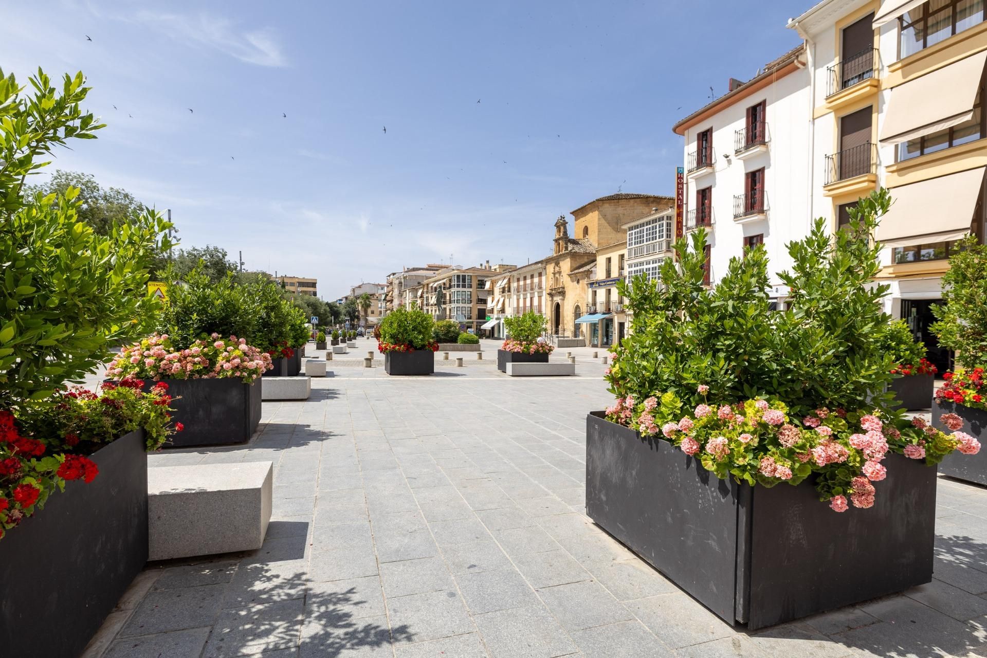 Vista exterior de Pis en venda en Alcalá la Real amb Terrassa