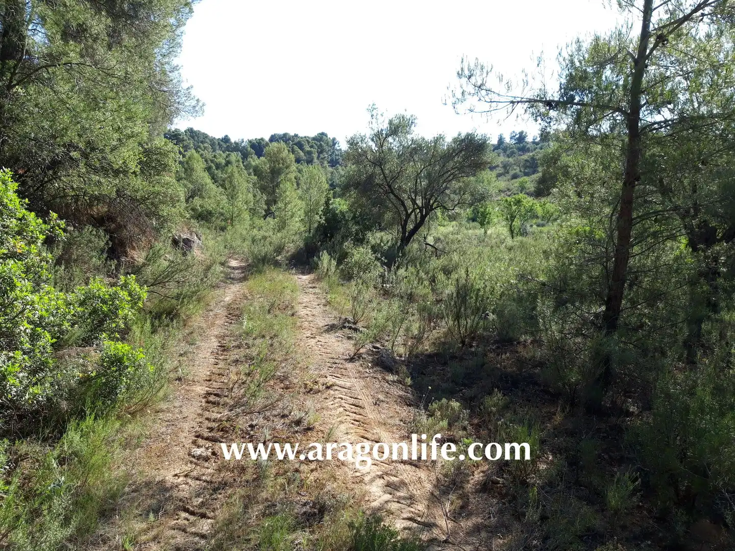 Terreni e lotti in vendita a Mazaleón, imagen 33
