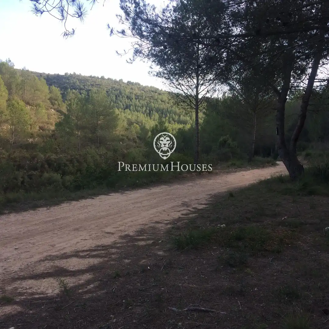 Casa rustica con terrazza in vendita a Castellet i la Gornal, imagen 11