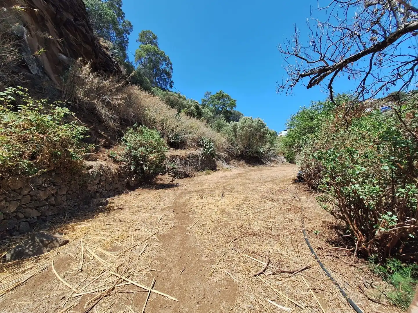 Xalet amb jardí en venda a Camino Pino Santo Bajo, imagen 19