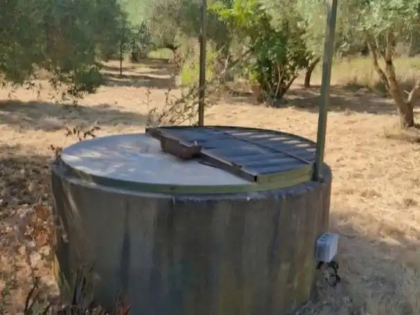Jardí de Finca rústica en venda en El Cuervo de Sevilla
