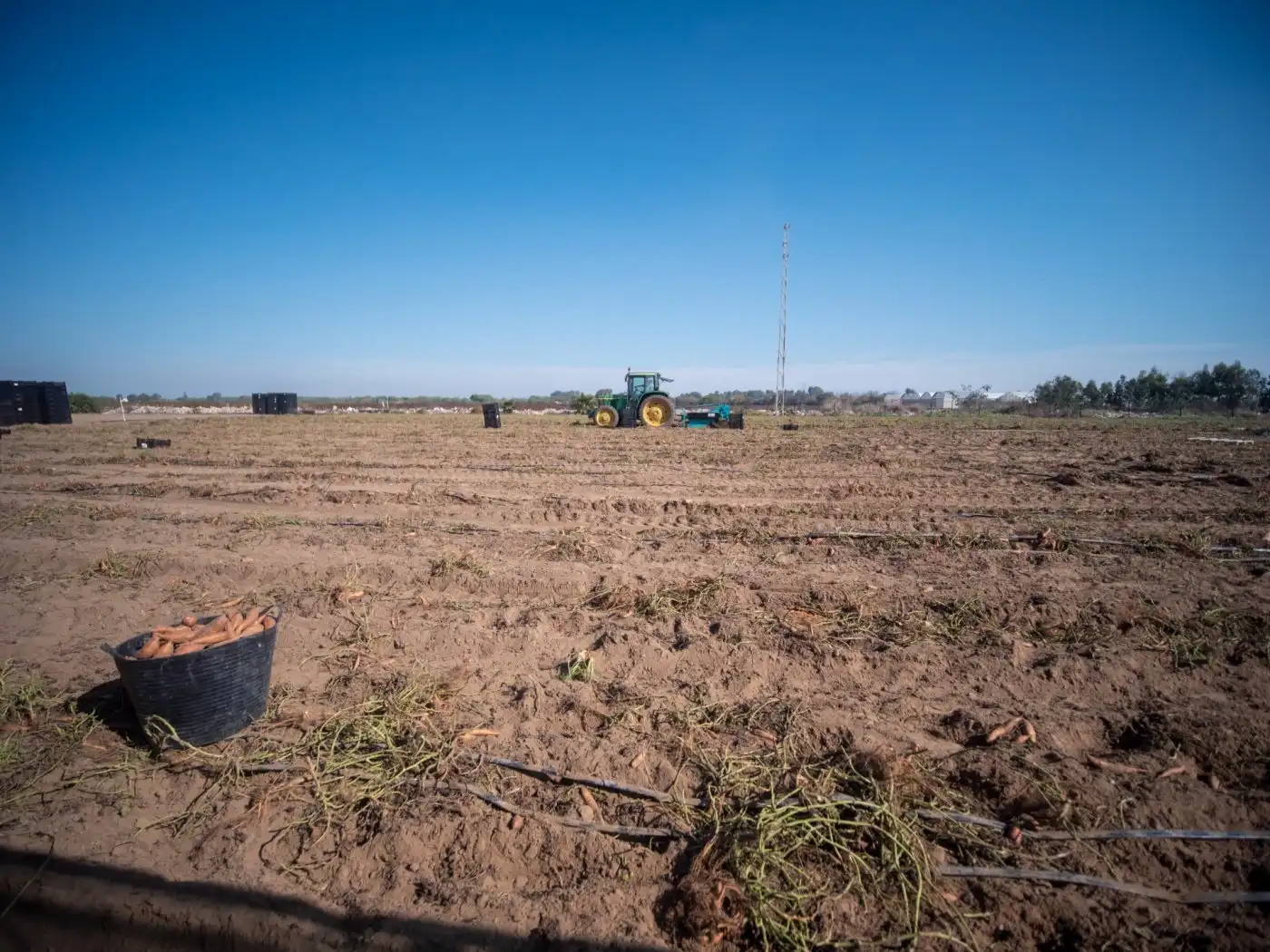 Finca rústica en venta en Chipiona con Jardín privado y Terraza
