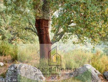 Terreno residencial en Venta en Berrocal