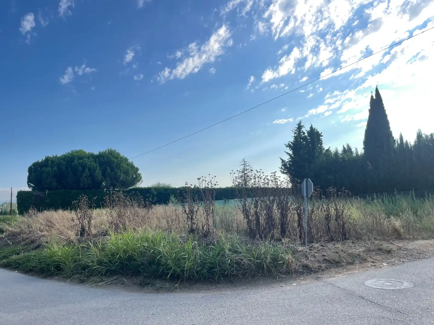 Rural land for sale in Balaguer, imagen 4