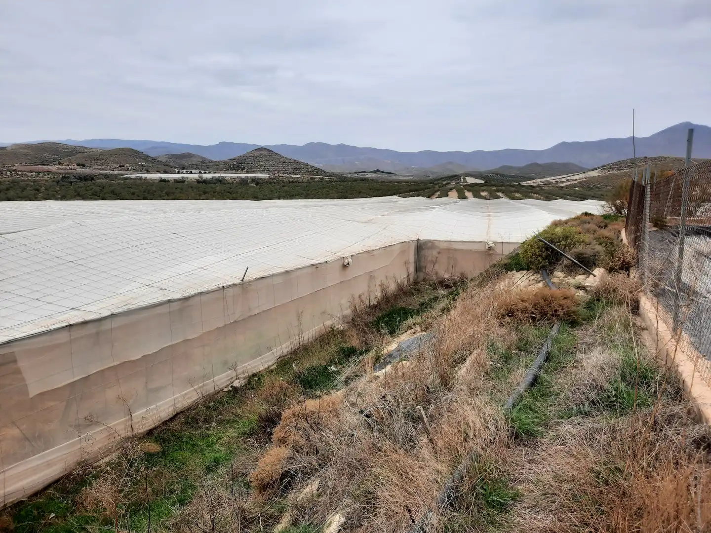 Terreny rústic en venda a Uleila del Campo, imagen 30