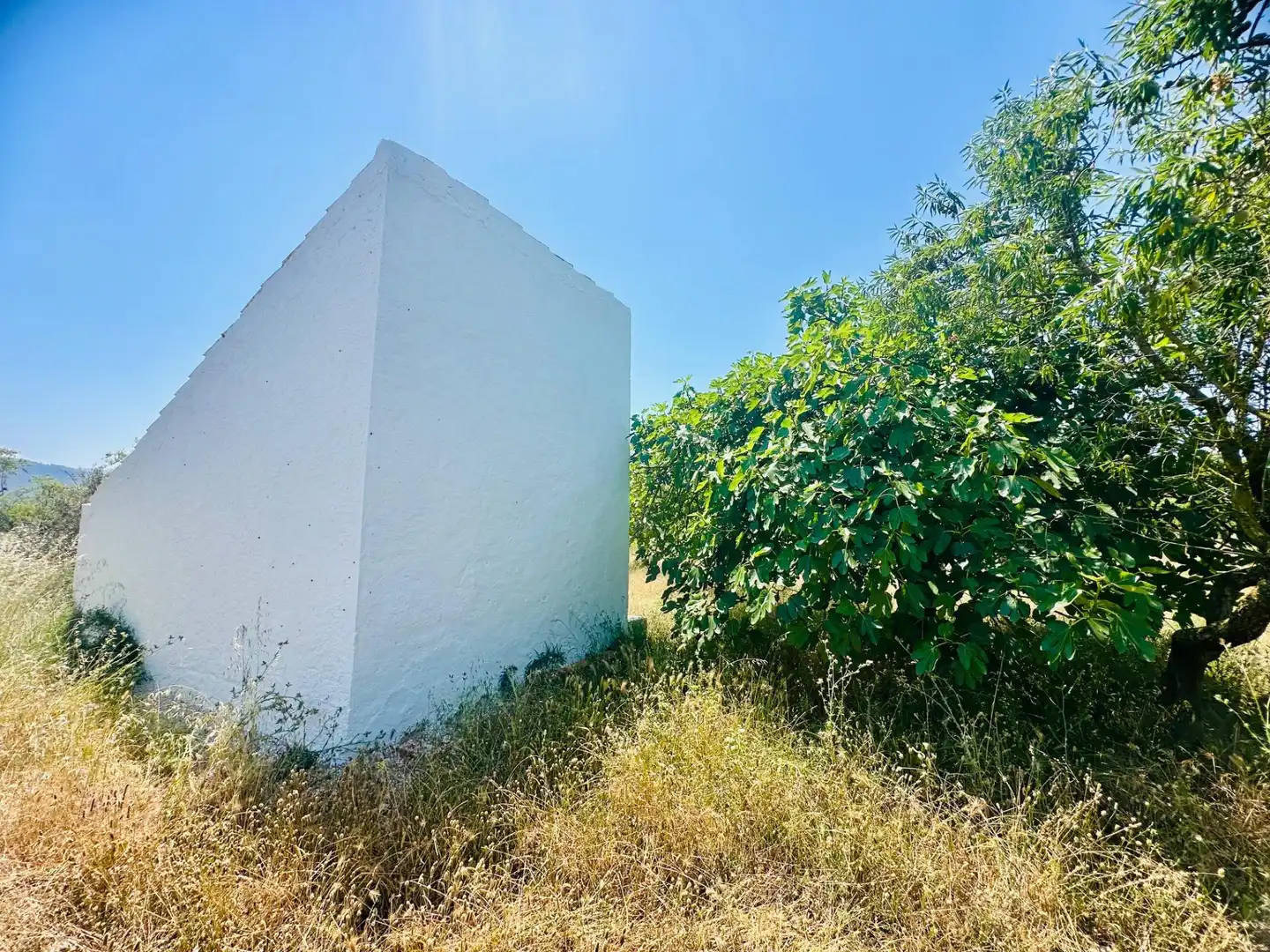 Casa o xalet en venda en Godall