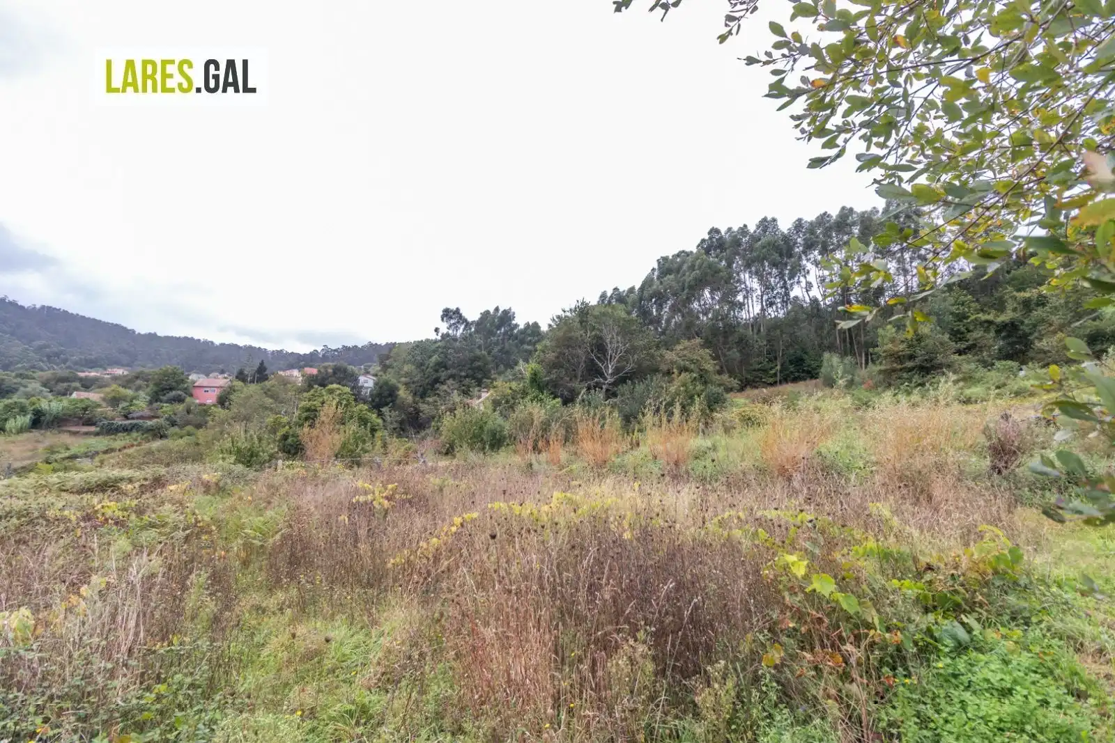 Terrain rustique à vendre à Paradela, imagen 10
