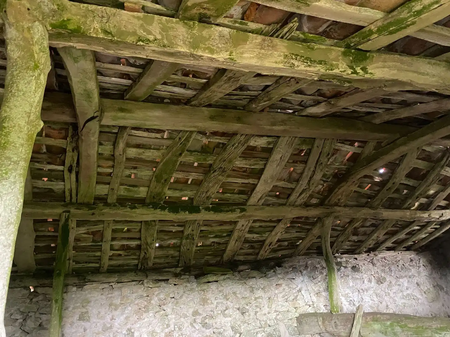 Terreno rustico in vendita a Següenco, imagen 17